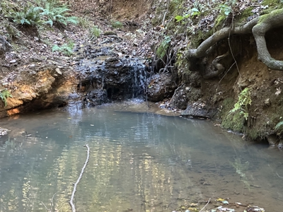 East Texas Hunting/Recreational Tract For Sale - image 11