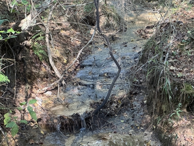 East Texas Hunting/Recreational Tract For Sale - image 22