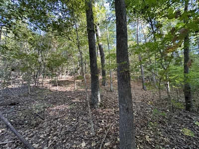 East Texas Hunting/Recreational Tract For Sale - image 16