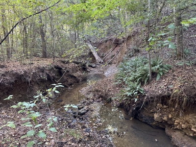 East Texas Hunting/Recreational Tract For Sale - image 15