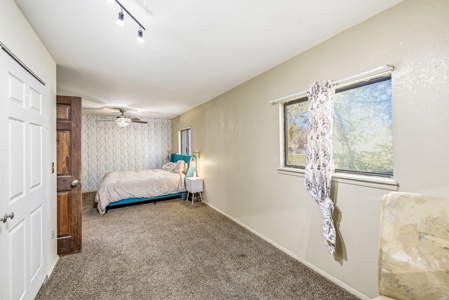 Country Living with Irrigation, Views & Freedom – Mack, Colorado - image 15