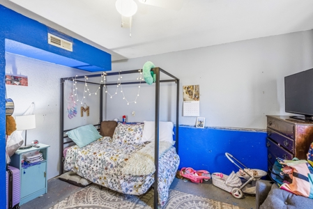 Country Living with Irrigation, Views & Freedom – Mack, Colorado - image 23