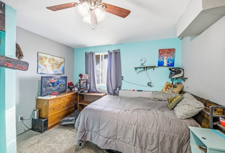 Country Living with Irrigation, Views & Freedom – Mack, Colorado - image 6