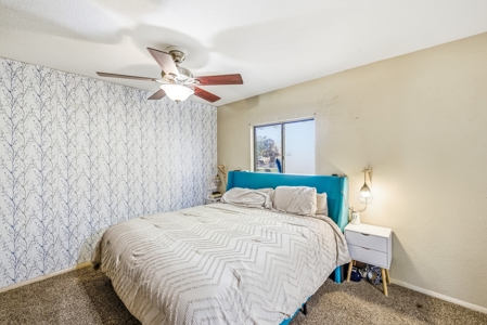 Country Living with Irrigation, Views & Freedom – Mack, Colorado - image 13