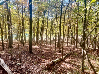 Golf Course Lot in Diamondhead Community Hot Springs AR - image 6