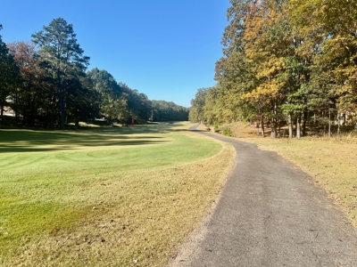 Golf Course Lot in Diamondhead Community Hot Springs AR - image 2