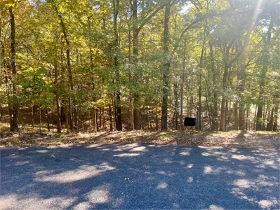 Golf Course Lot in Diamondhead Community Hot Springs AR - image 5