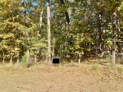 Golf Course Lot in Diamondhead Community Hot Springs AR - image 3