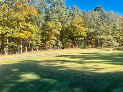 Golf Course Lot in Diamondhead Community Hot Springs AR - image 1