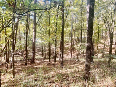 Golf Course Lot in Diamondhead Community Hot Springs AR - image 4