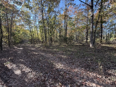 Building Land For Sale In North Central Arkansas - image 8