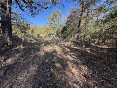 Building Land For Sale In North Central Arkansas - image 9