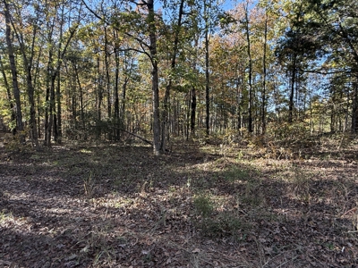Building Land For Sale In North Central Arkansas - image 6