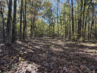 Building Land For Sale In North Central Arkansas - image 4