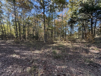 Building Land For Sale In North Central Arkansas - image 7