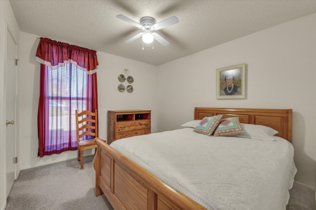 Spacious 3-Bedroom Home on 1 Acre in Waco – Move-In Ready! - image 19