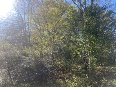 Land For Sale In Hardin County, Tn. Creek, Close To Tn River - image 5