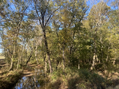 Land For Sale In Hardin County, Tn. Creek, Close To Tn River - image 2