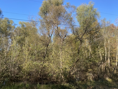 Land For Sale In Hardin County, Tn. Creek, Close To Tn River - image 4