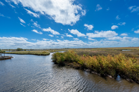 Suwannee, FL - Waterfront Home - Gulf - Suwannee River - image 41