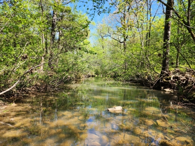 Billy Creek 20 Acres – Adjoining National Forest - image 1