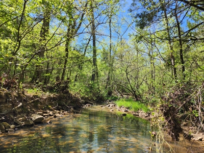 Billy Creek 20 Acres – Adjoining National Forest - image 2
