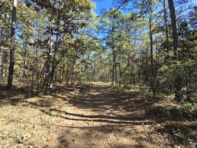 Billy Creek 20 Acres – Adjoining National Forest - image 18