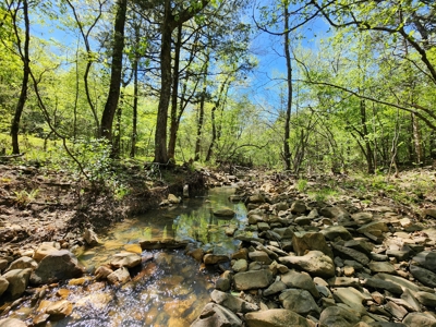 Billy Creek 20 Acres – Adjoining National Forest - image 5