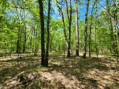 Billy Creek 20 Acres – Adjoining National Forest - image 6