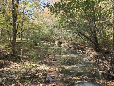 Billy Creek 20 Acres – Adjoining National Forest - image 16