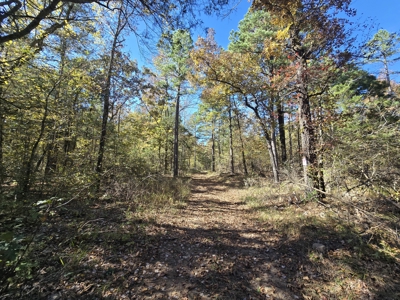 Billy Creek 20 Acres – Adjoining National Forest - image 9