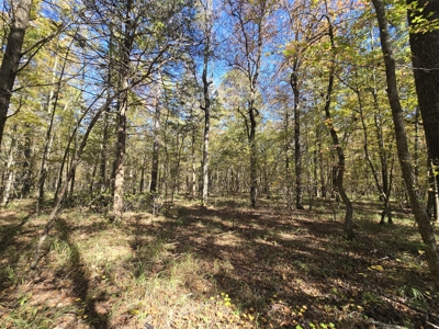 Billy Creek 20 Acres – Adjoining National Forest - image 11