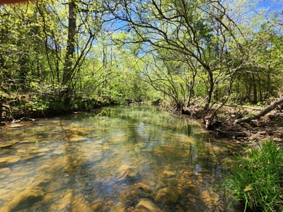 Billy Creek 20 Acres – Adjoining National Forest - image 4