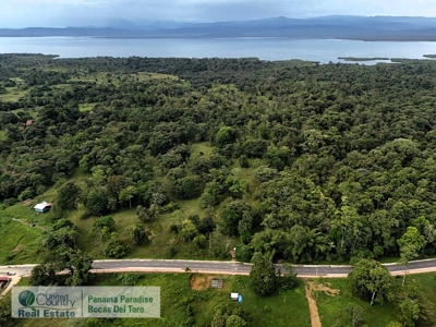 Bocas del Toro Land for Sale | Tropical Acreage Near Drago Beach - image 6