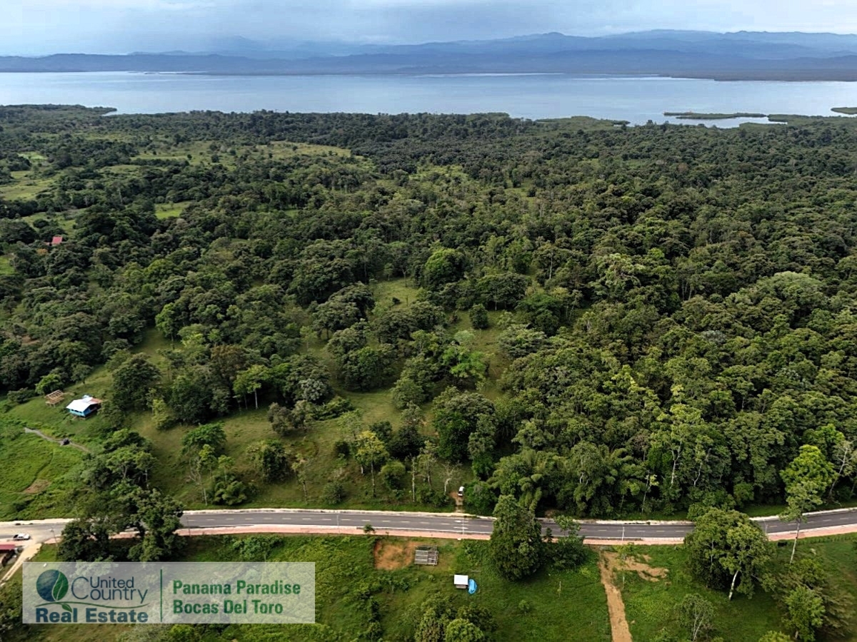 Tropical Acreage Near Drago Beach, 55.6 Hectares — Isla Colón - 11