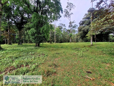 Bocas del Toro Land for Sale | Tropical Acreage Near Drago Beach - image 10