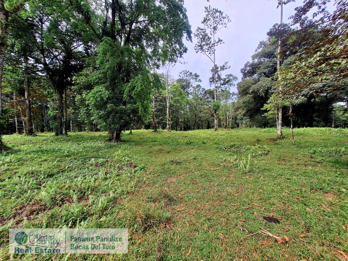 Tropical Acreage Near Drago Beach, 55.6 Hectares — Isla Colón - 16