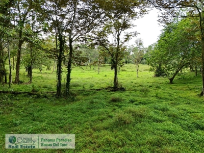 Bocas del Toro Land for Sale | Tropical Acreage Near Drago Beach - image 9