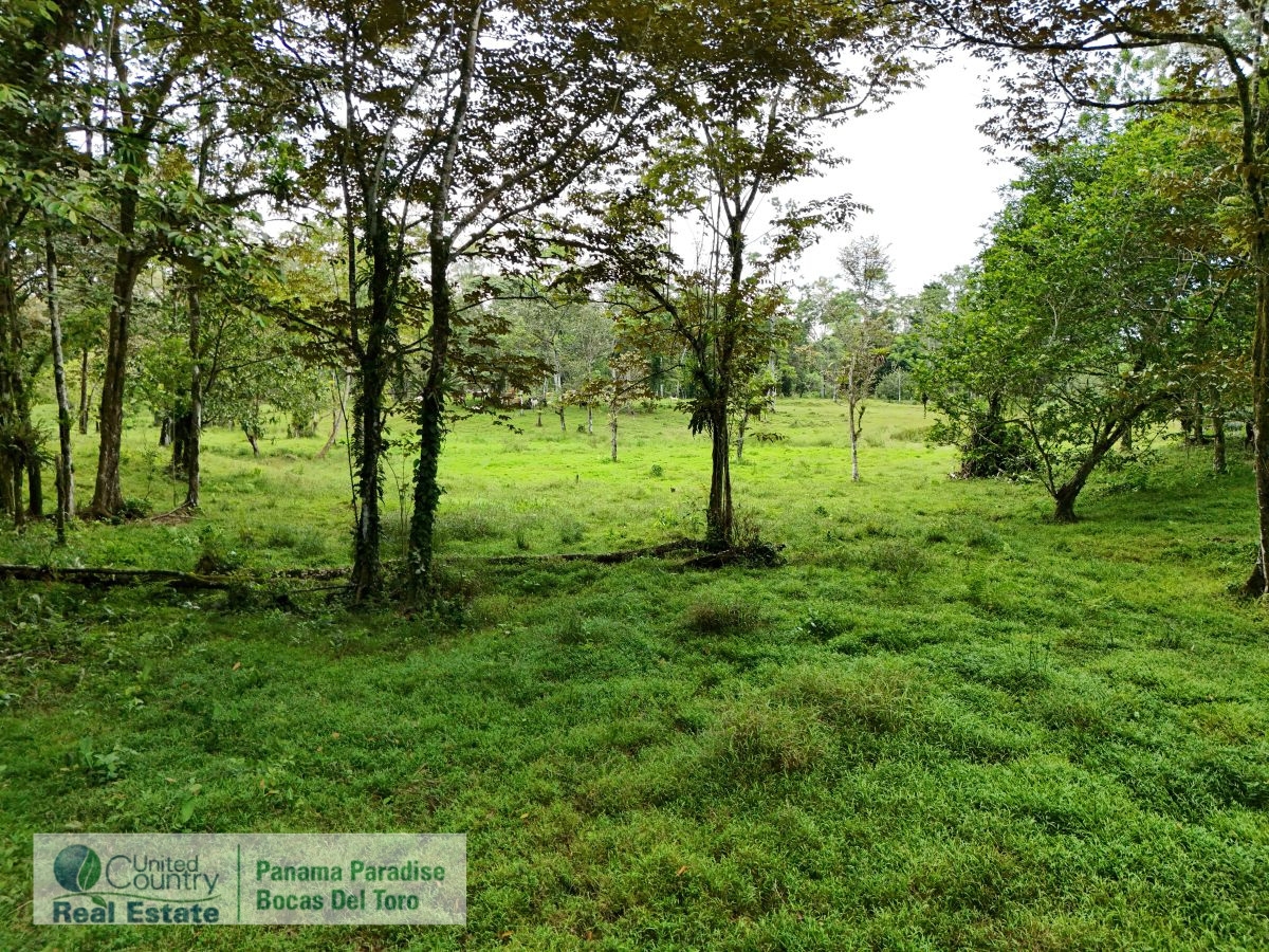 Tropical Acreage Near Drago Beach, 55.6 Hectares — Isla Colón - 15