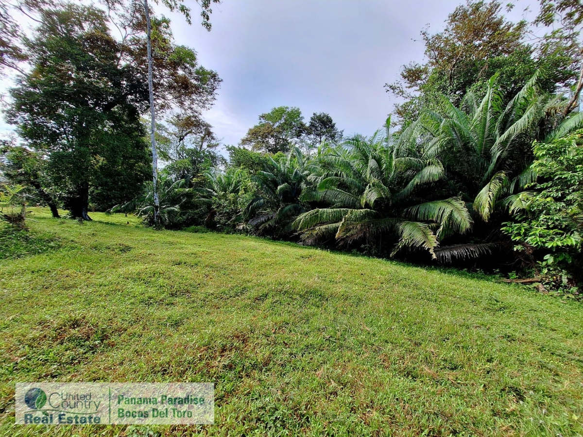 Tropical Acreage Near Drago Beach, 55.6 Hectares — Isla Colón - 19