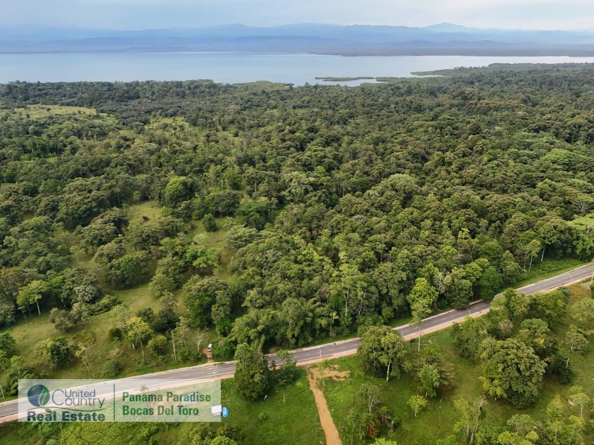 Tropical Acreage Near Drago Beach, 55.6 Hectares — Isla Colón - 10
