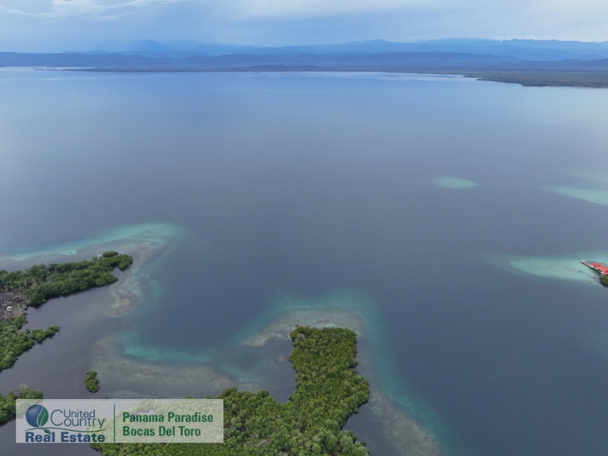 Tropical Acreage Near Drago Beach, 55.6 Hectares — Isla Colón - 13