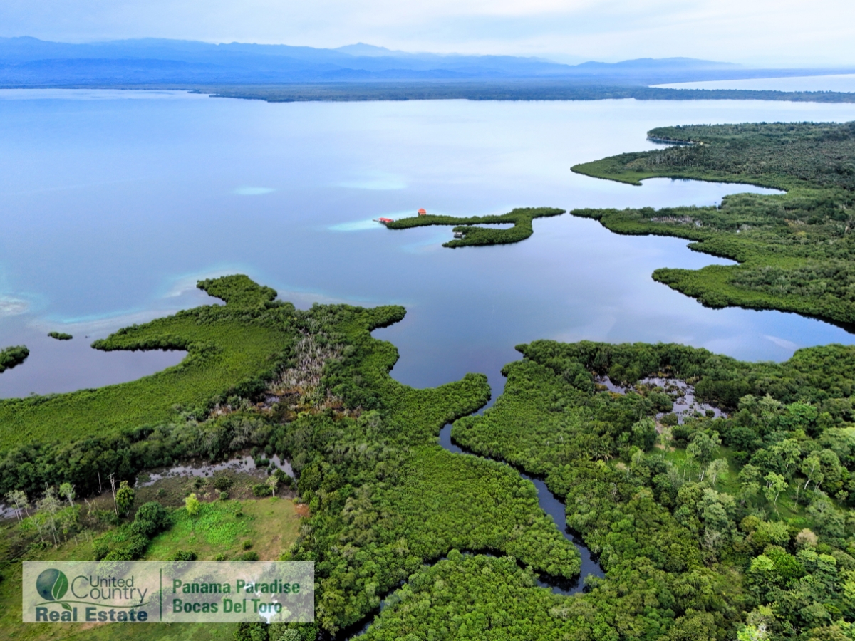 Tropical Acreage Near Drago Beach, 55.6 Hectares — Isla Colón - 2