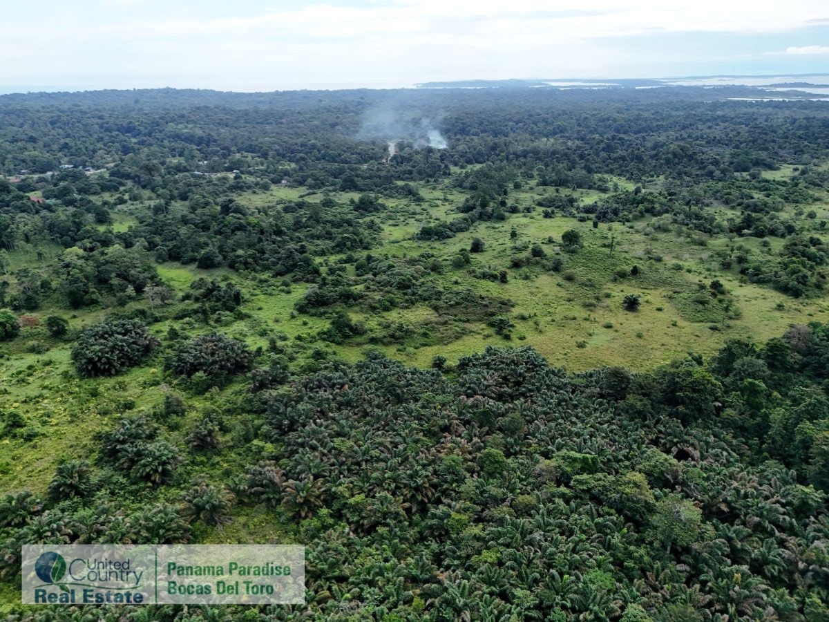 Tropical Acreage Near Drago Beach, 55.6 Hectares — Isla Colón - 8