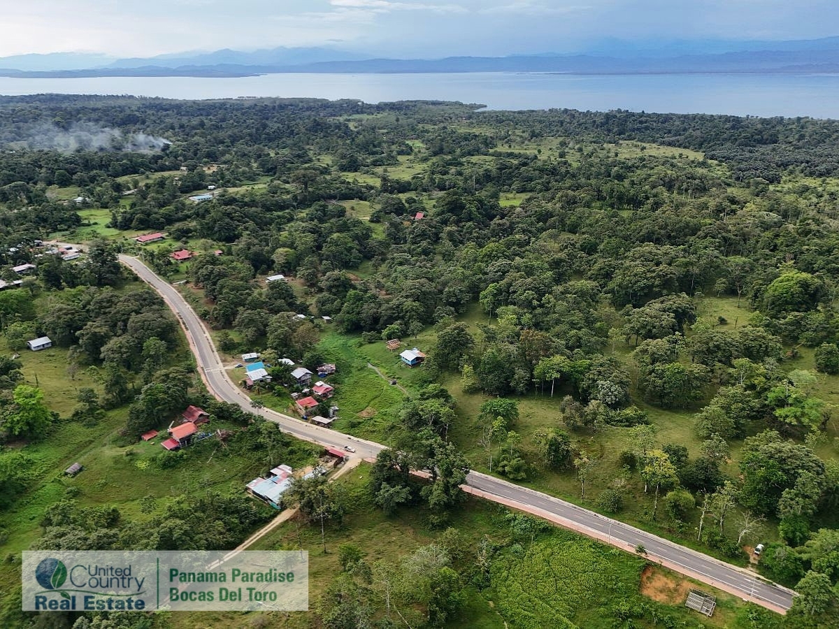 Tropical Acreage Near Drago Beach, 55.6 Hectares — Isla Colón - 12