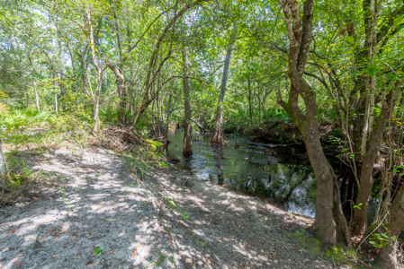 3 Bedroom Home on 35 Acres for Sale in Sanderson, Florida - image 48