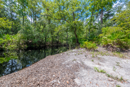 3 Bedroom Home on 35 Acres for Sale in Sanderson, Florida - image 47