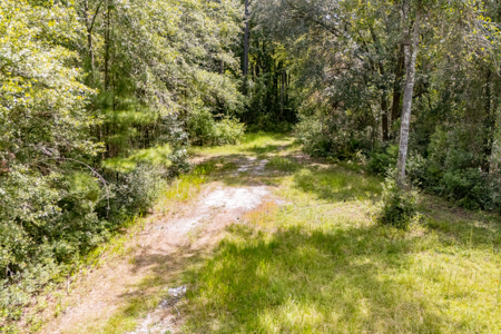 3 Bedroom Home on 35 Acres for Sale in Sanderson, Florida - image 42