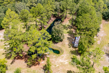3 Bedroom Home on 35 Acres for Sale in Sanderson, Florida - image 41