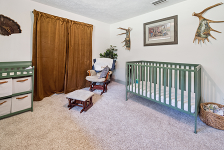 3 Bedroom Home on 35 Acres for Sale in Sanderson, Florida - image 33